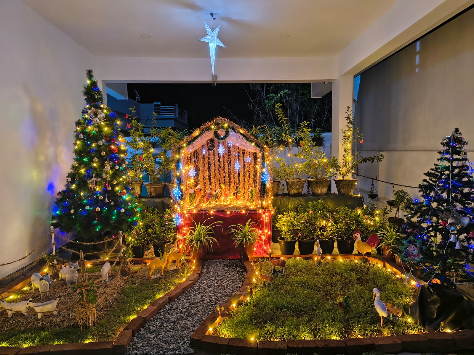 Decorated Christmas trees and a lit nativity display at the office